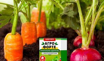 Агрофорте – комплексное удобрение для сада и огорода