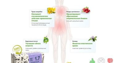 Артерисан – травяной сбор от атеросклероза
