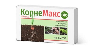 Корнемакс стимулятор роста корневой системы: залог хорошего урожая!