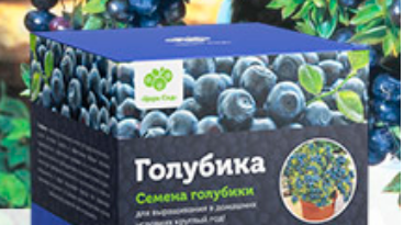 Голубика Денис Блю (Дениз голубая): описание сорта, посадка и уход, фото + отзывы