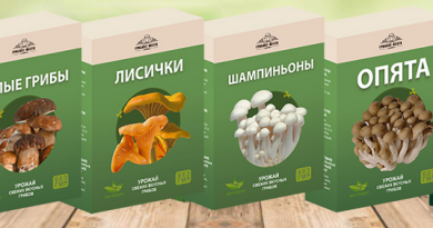 Домашняя грибница: советы, как выбрать и вырастить, отзывы