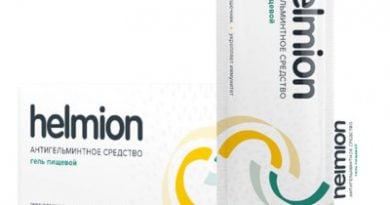 Helmion