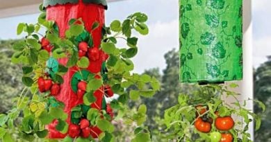 Подвесная грядка-плантация Здоровый Урожай. Официальный сайт, реальные отзывы